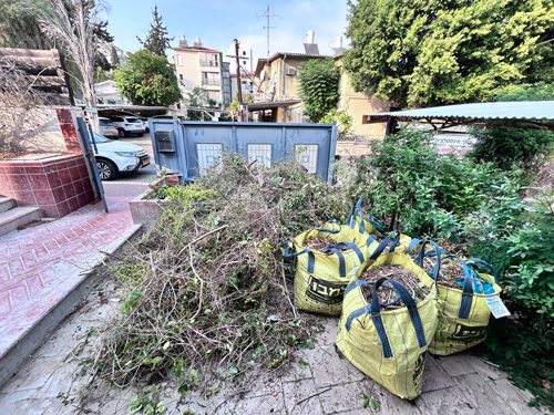 Garden Clearance