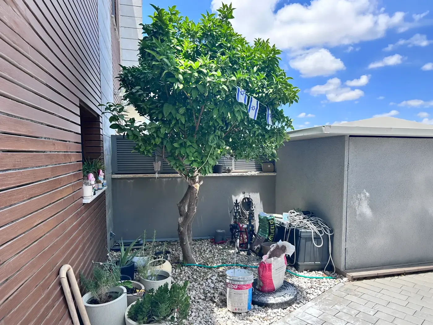 Small garden before AI garden design visualisation and transformation